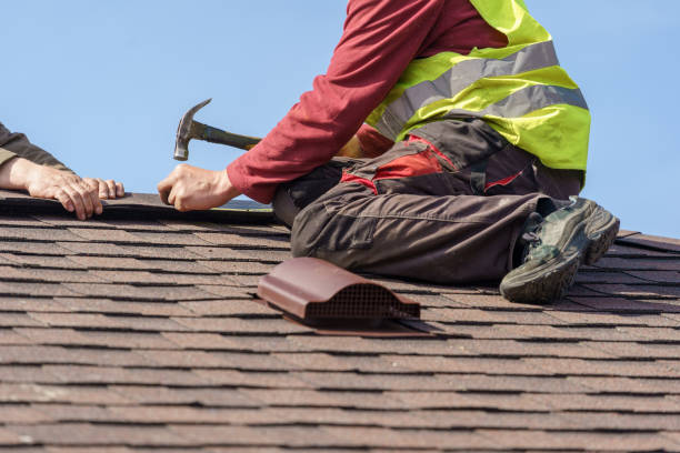 Best Roof Gutter Cleaning  in Mahanoy City, PA