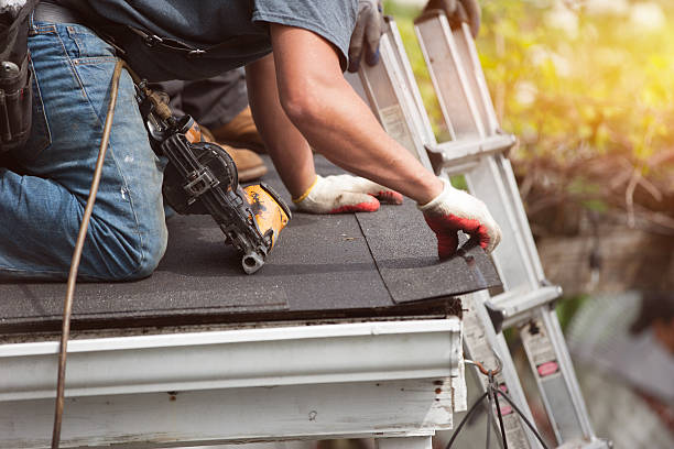 Best Roof Gutter Cleaning  in Mahanoy City, PA